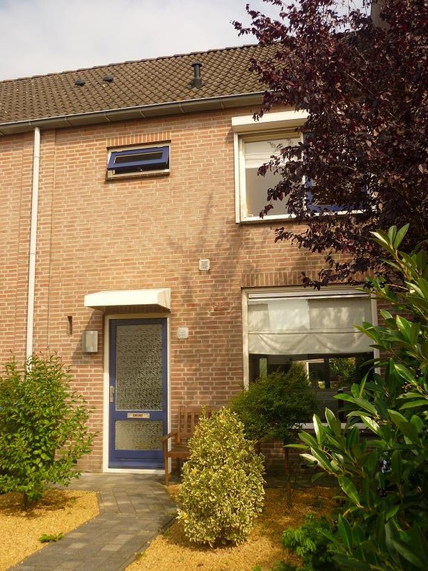  - Halsteren , Iepenlaan