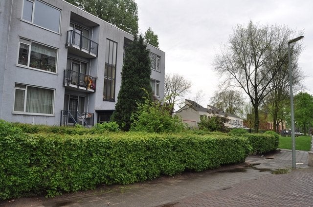 Dordrecht, Willem Barentszstraat
