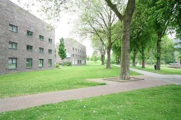 Hoogvliet, Digna Johannaweg