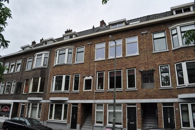 Schiedam, Swammerdamsingel