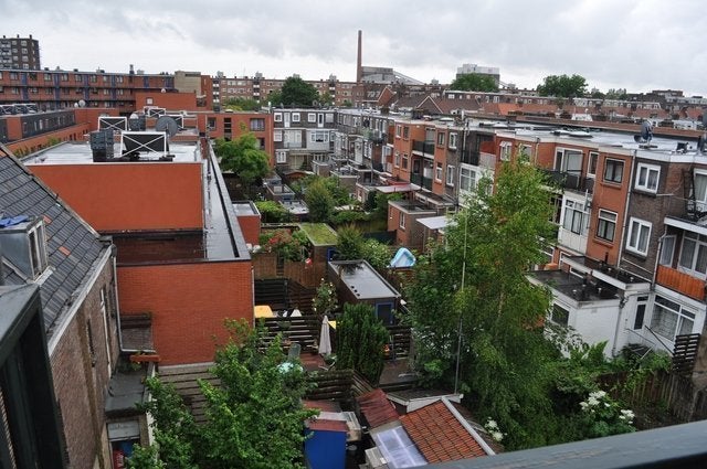 Swammerdamsingel, Schiedam