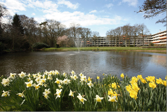 Wassenaar, Stoeplaan