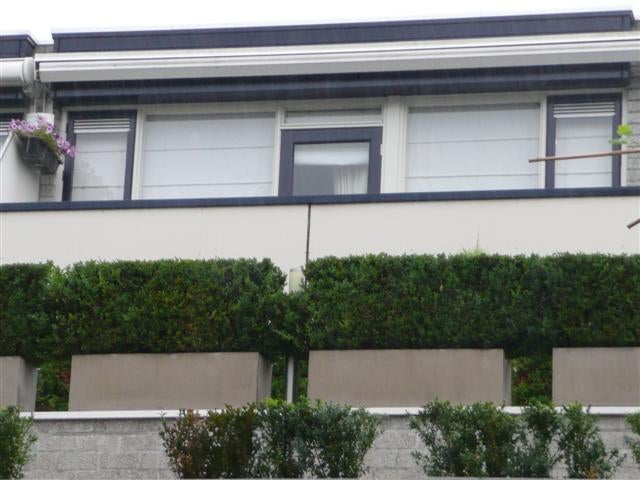 Burchtstraat, Wijchen