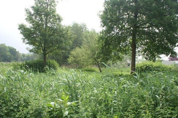 Overhorst, Helmond