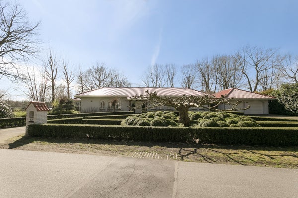 Zilvermeeuwlaan, Best