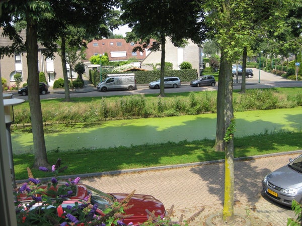 Jhr. mr. A.F. de Savornin Lohmanstraat, Gorinchem