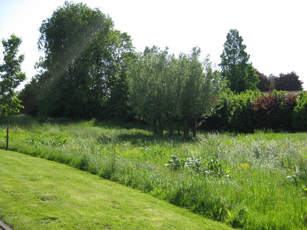 Dorpsweg, Hoornaar