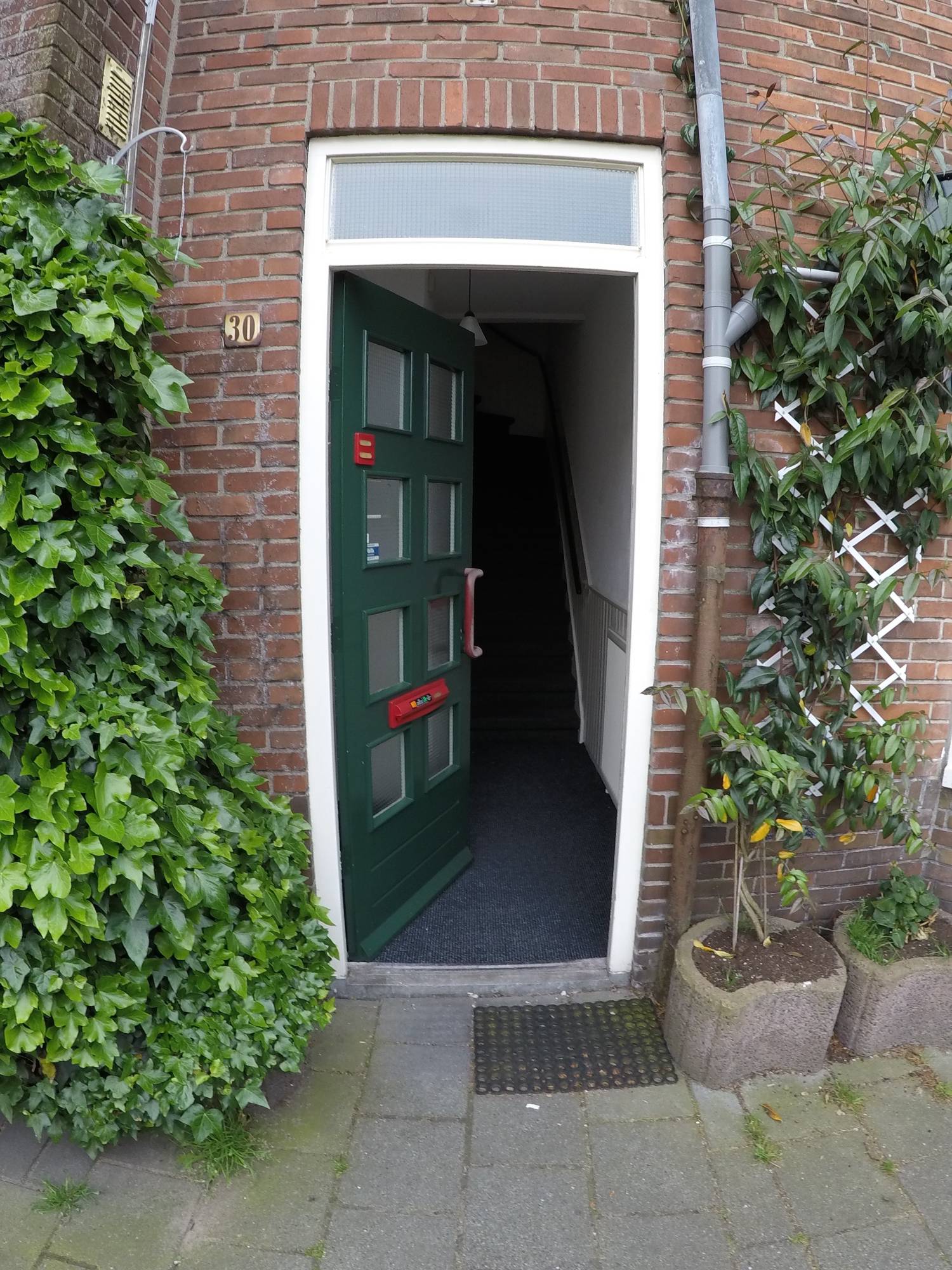 Anemonenstraat