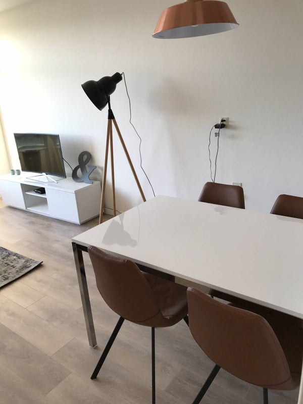 Houses and Apartments For Rent in Leiden 119 Rentals Found