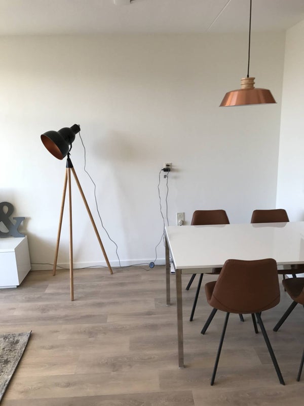 Houses and Apartments For Rent in Leiden 119 Rentals Found